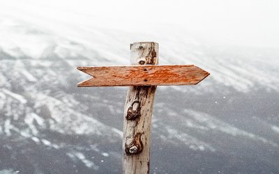 A NAGY TCN ZSEBKÖNYV: ÚTIKALAUZ A HARMADIK ORSZÁGBELI ÁLLAMPOLGÁROK MAGYARORSZÁGI SIKEREIHEZ